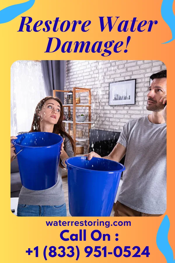 water restoration Horizon Flood Damage Solutions Citrus Hills
