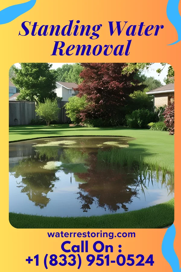 Standing Water Removal in Citrus Hills, FL